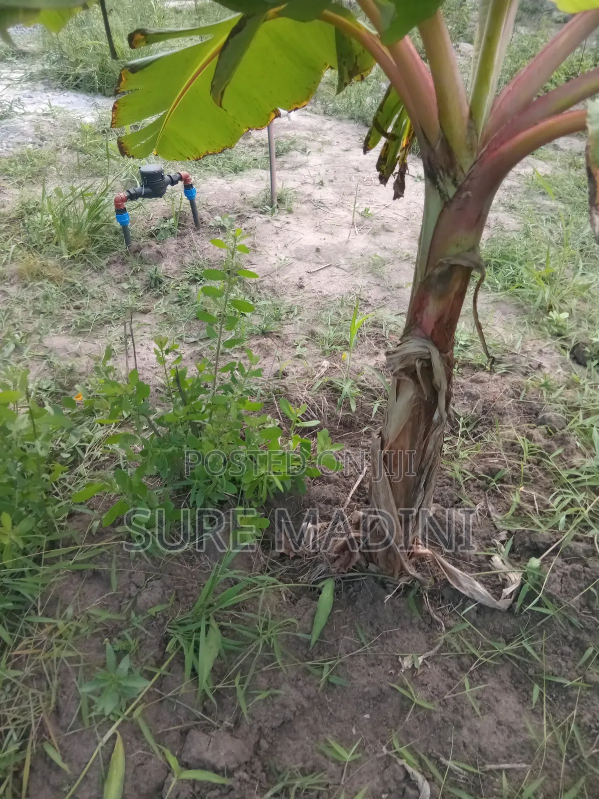 1bdrm House in Manzese, Mbezi for sale