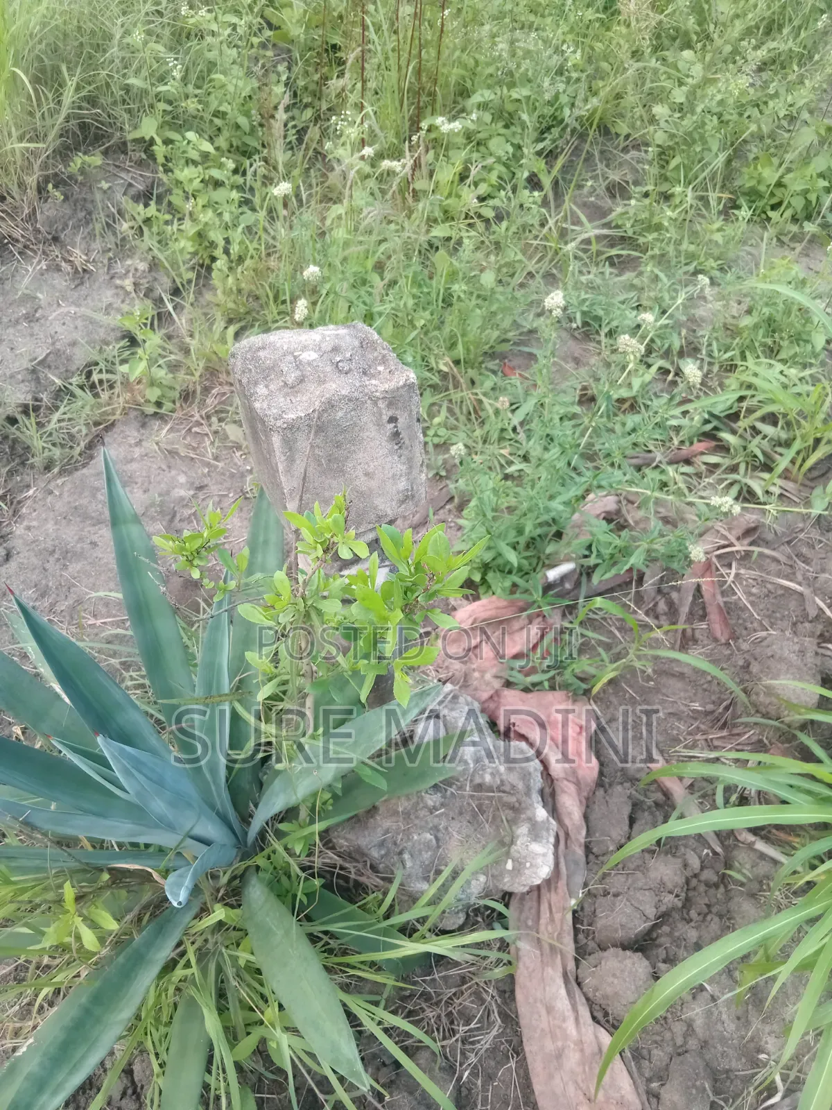 1bdrm House in Manzese, Mbezi for sale
