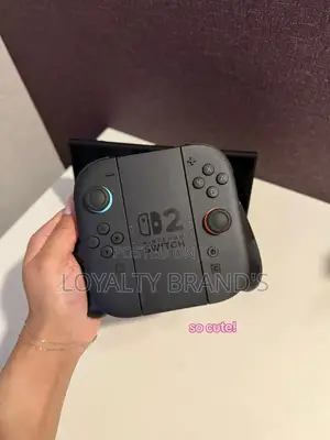 Nintendo 2 Charging Joycon