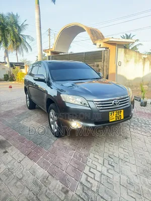 Toyota Vanguard 2008 Gray