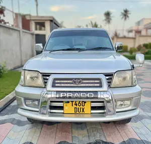 Toyota Land Cruiser Prado 1999 Gray