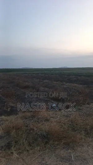 Plot for Sale Mwanza