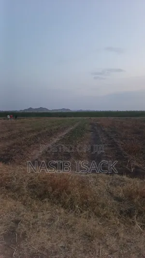 Plot for Sale Mwanza