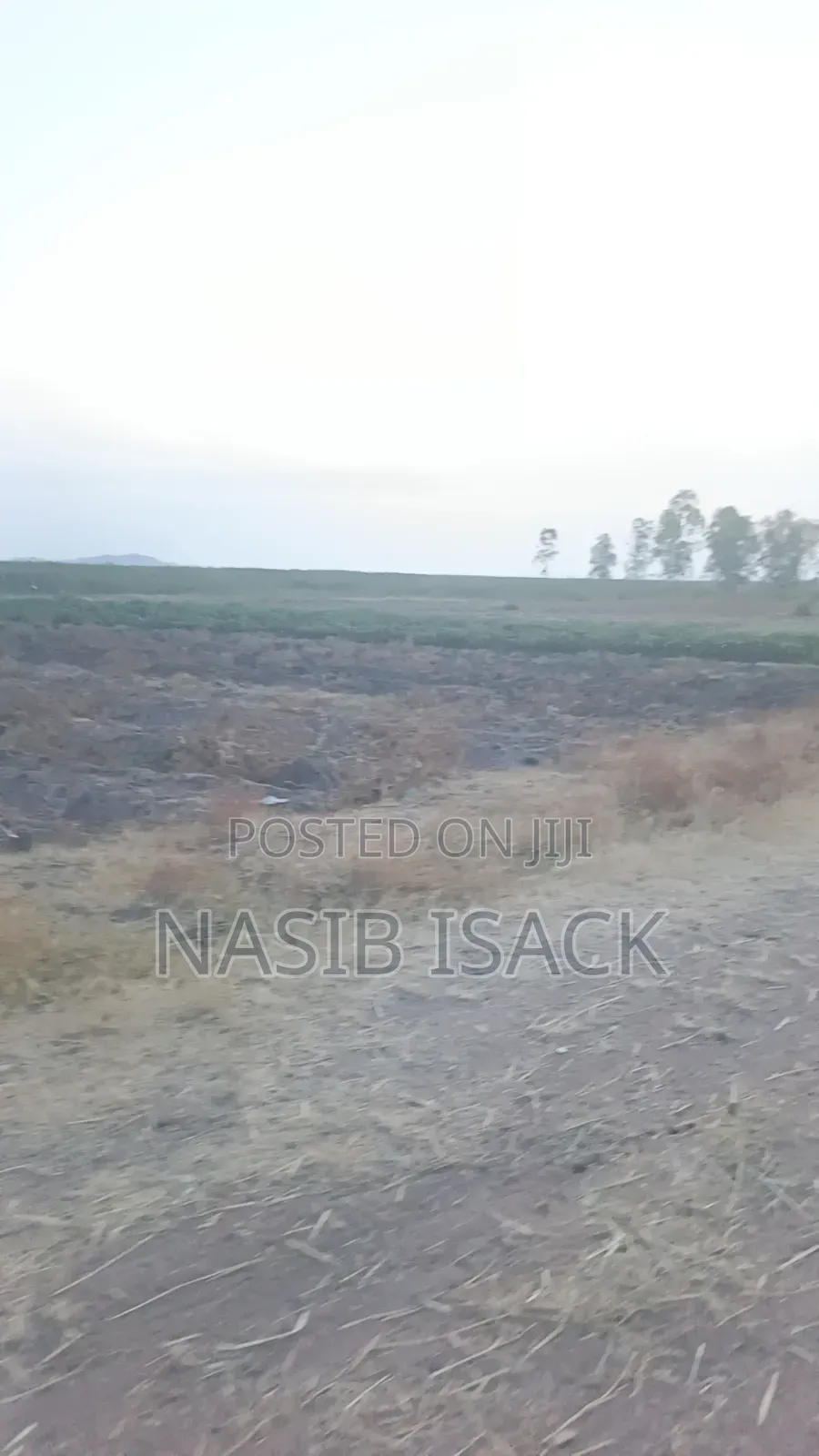 Plot for Sale Mwanza