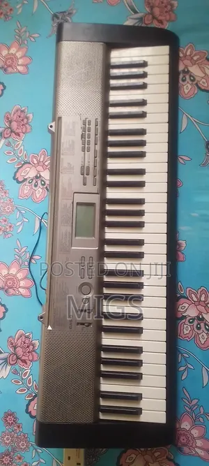 Casiolk120 Electric Lighting Piano