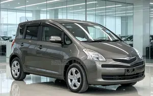 Toyota Ractis 2005 Gray