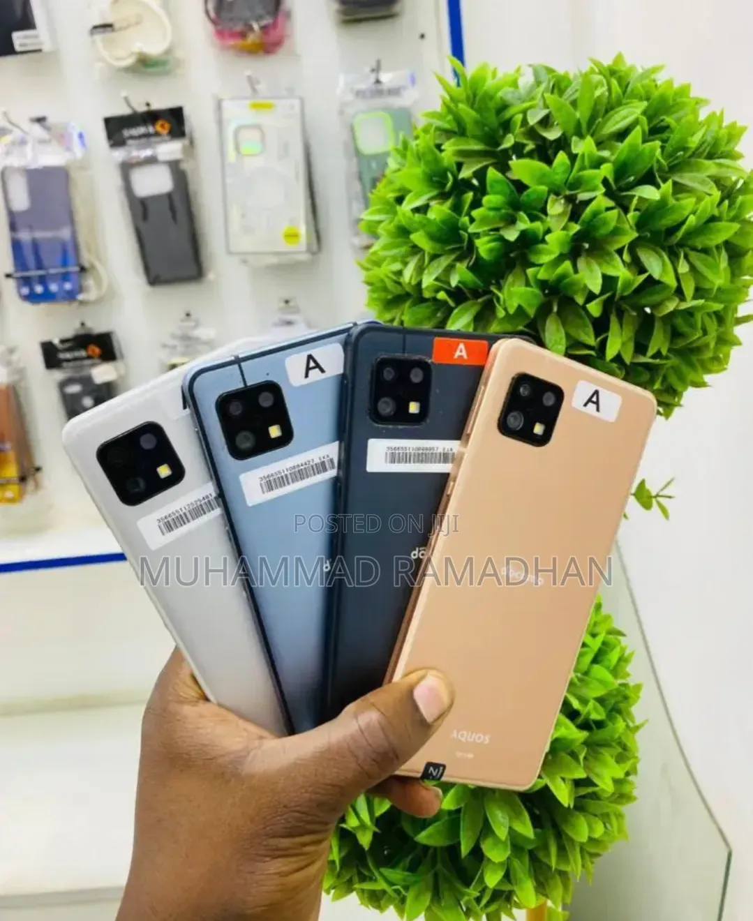 Sharp Aquos Sense6 64 GB Gold