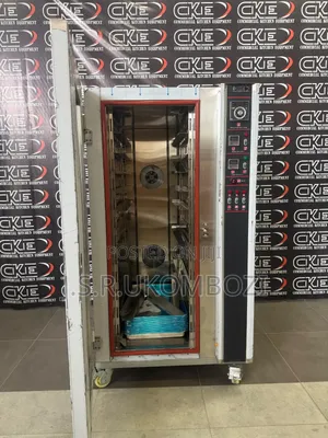 Electric Conversion Oven 12