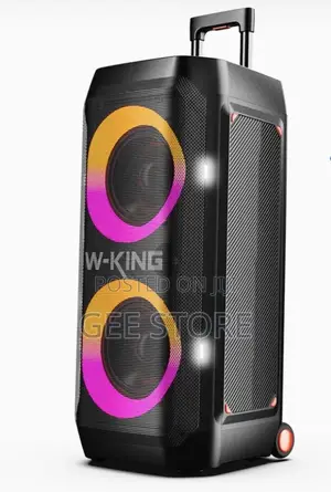 W-King T12 Portable Party Box