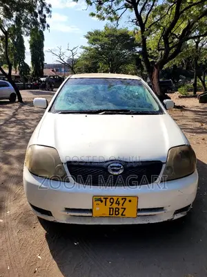 Toyota Corolla RunX 2004 Pearl