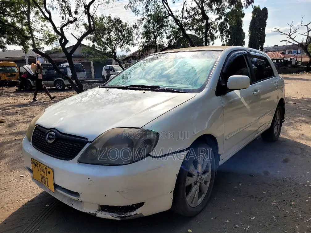 Toyota Corolla RunX 2004 Pearl