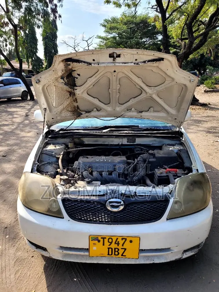 Toyota Corolla RunX 2004 Pearl