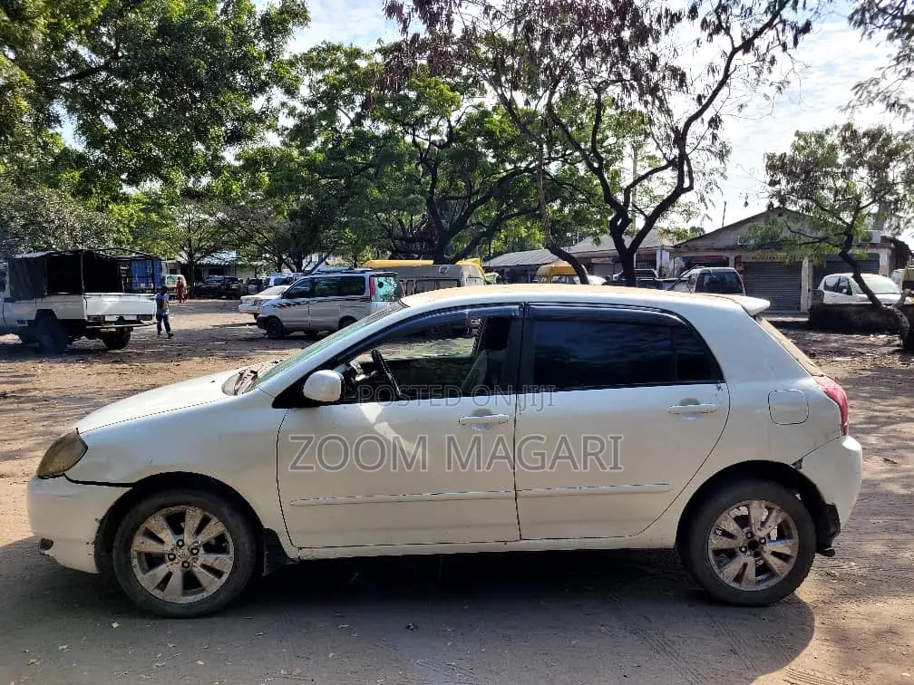 Toyota Corolla RunX 2004 Pearl
