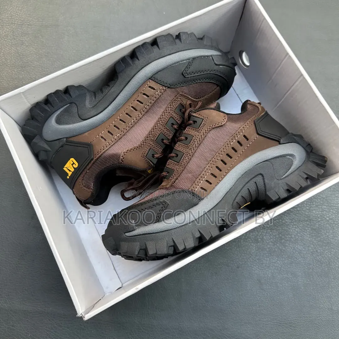 Premium Cat Track Shoes