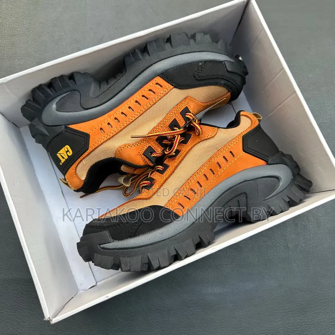 Premium Cat Track Shoes