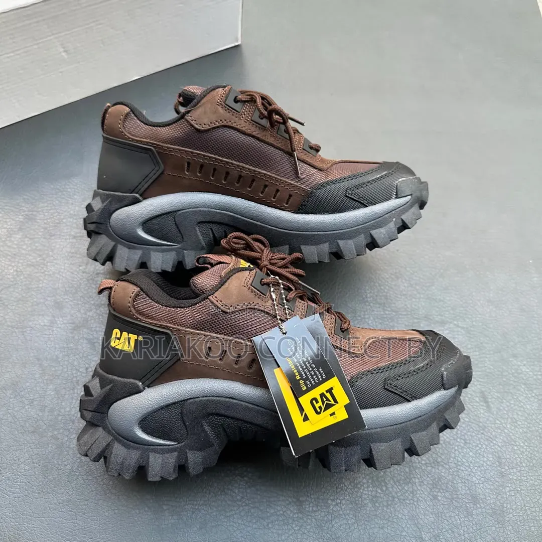 Premium Cat Track Shoes