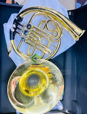 Gold Professional French Horn Suitable for Best Performance