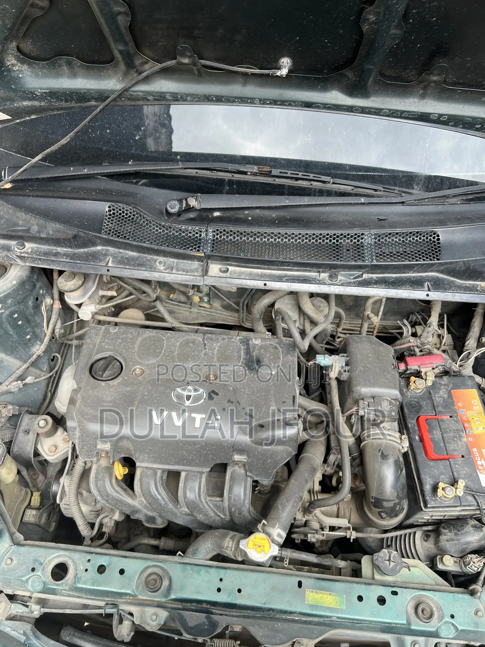 Toyota Vitz 2003 Green