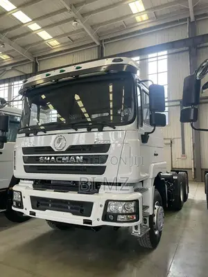 China Truck Sales