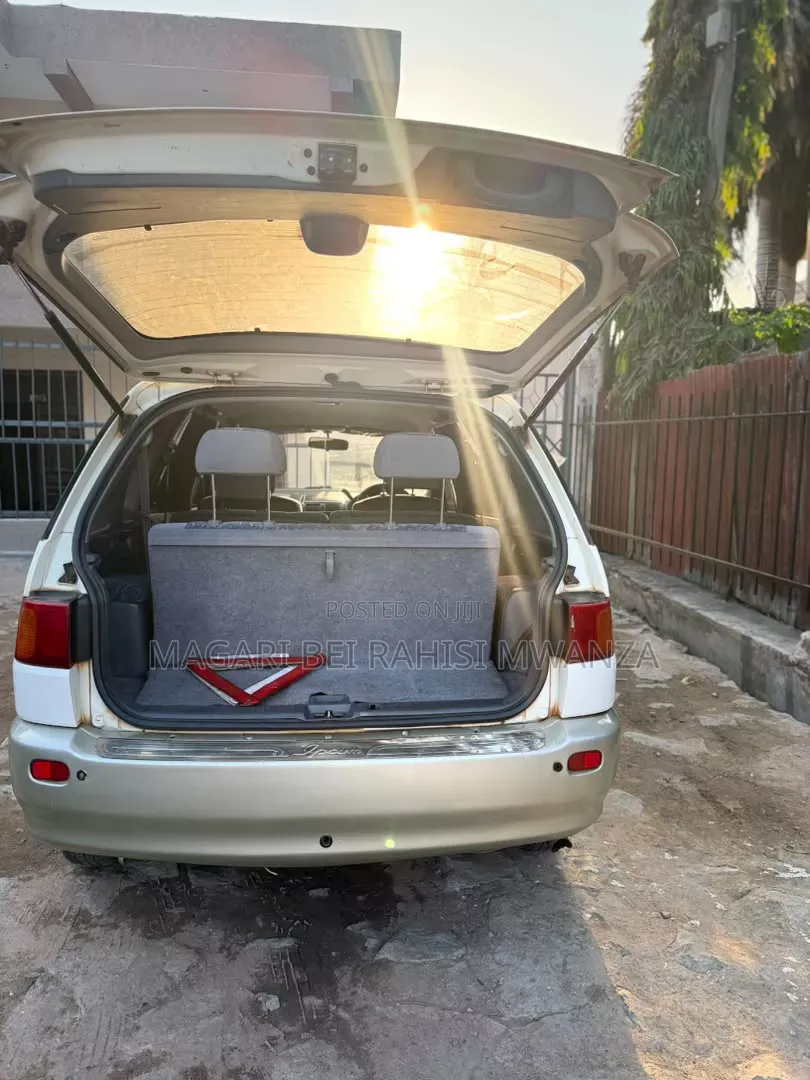Toyota Ipsum 2003 White