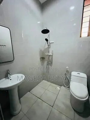 2bdrm Apartment in Sinza for rent