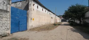 Dodawn Inapangishwa