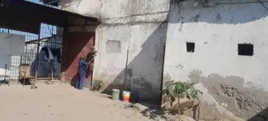 Dodawn Inapangishwa