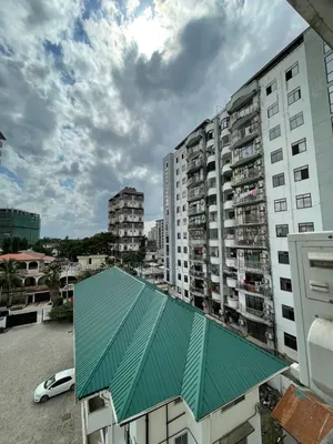 Furnished 4bdrm Apartment in Upanga West for rent