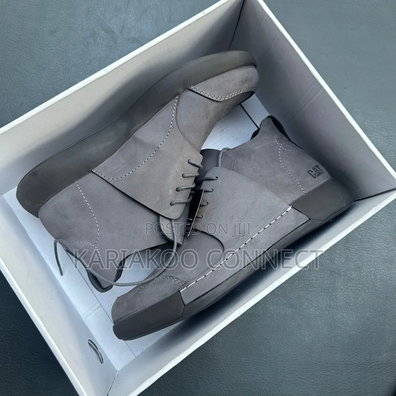 Extrusive Og Cat Shoes