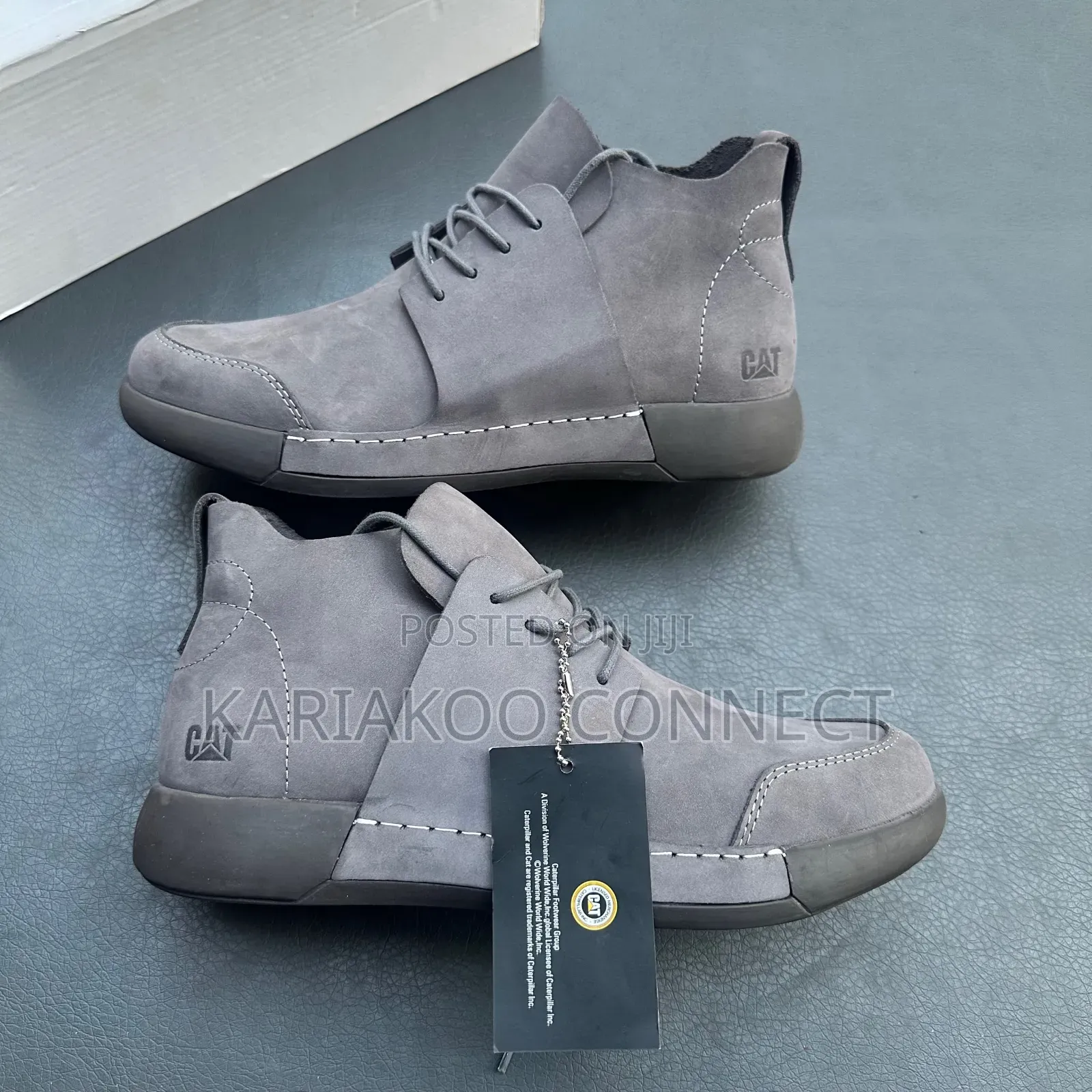 Extrusive Og Cat Shoes