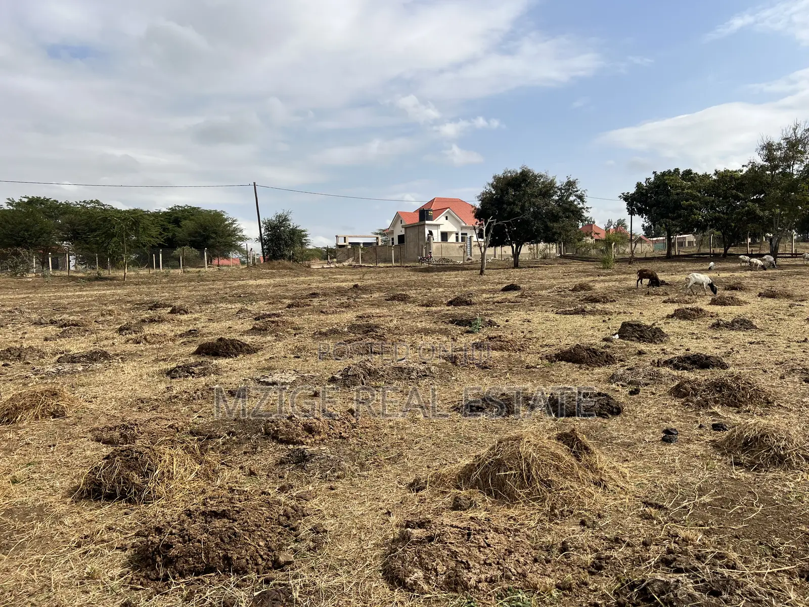 Premium Investment Opportunity in Arusha – Mateves Near Afcon Stadium