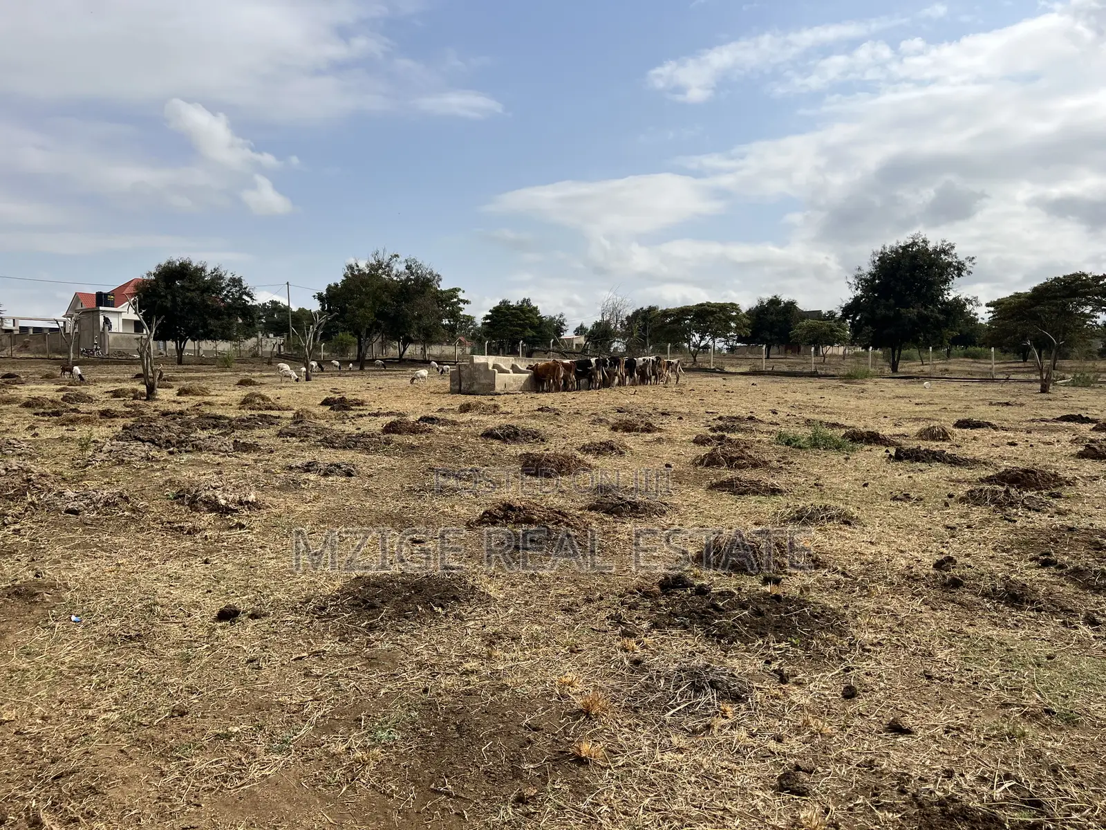 Premium Investment Opportunity in Arusha – Mateves Near Afcon Stadium