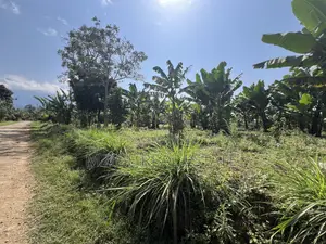 Premium 3.8-Acre Commercial Land in Shangarai / Msorongo, Arusha