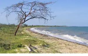 3.3Acres of Beach Plot for Sale at Bagamoyo Saadani National Patk