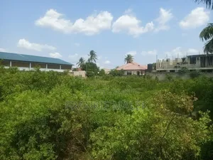 Plot for Sale