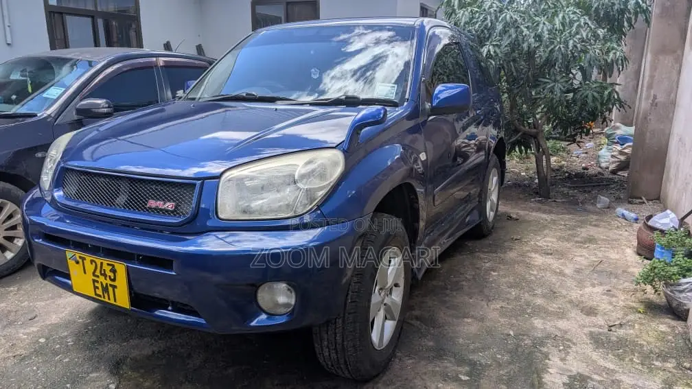 Toyota RAV4 2004 Blue