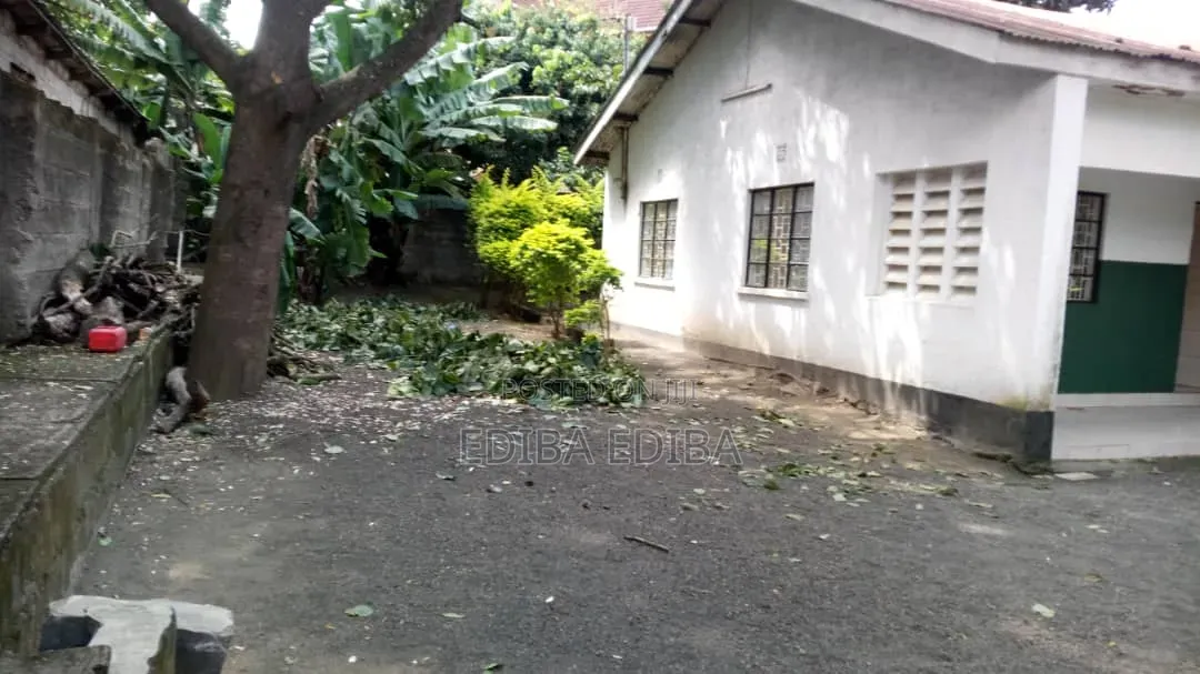 3bdrm House in Ediba Real Estate, Uzunguni for rent