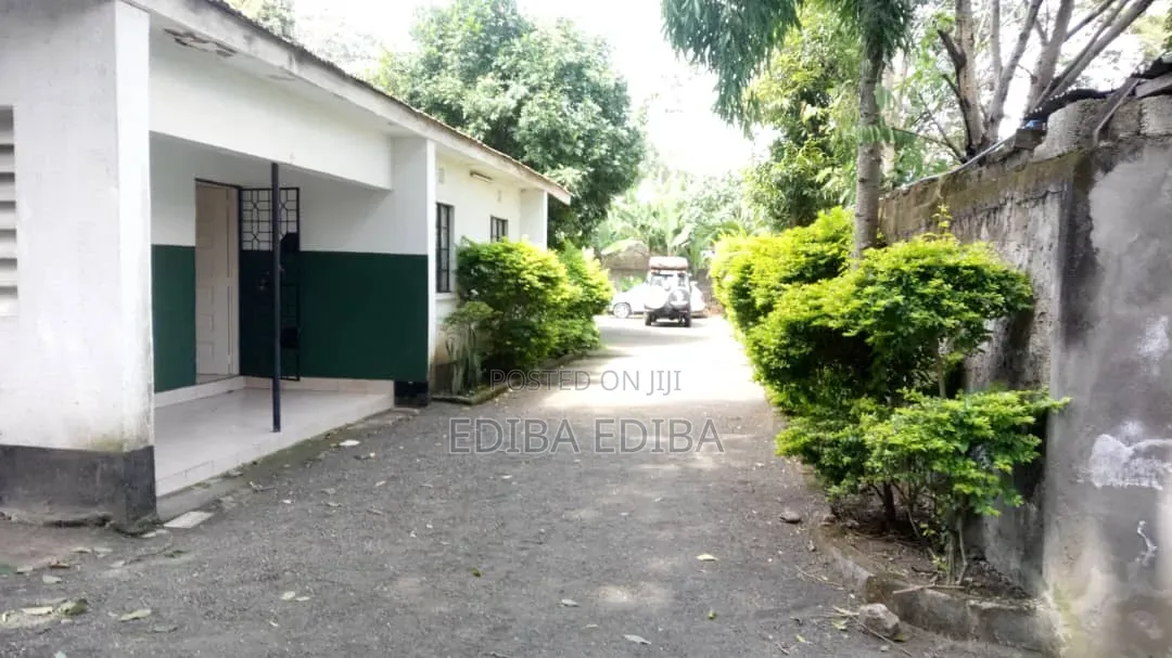 3bdrm House in Ediba Real Estate, Uzunguni for rent