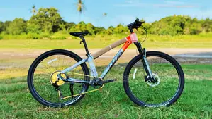 Brand New Professional Mountain Bike – Golden Edition (1×12 Speed)