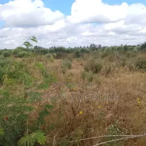 Nauza Shamba Langu Chalinze Msorwa