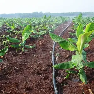 Irrigation Hose Line