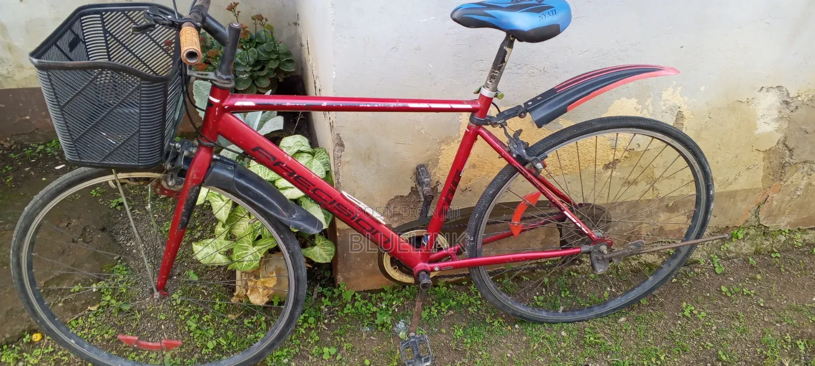 Sports Road Bike