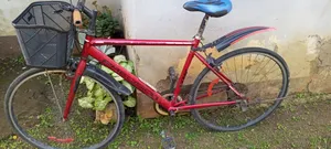 Sports Road Bike
