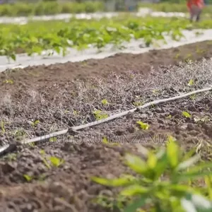 Micro Irrigation Hose