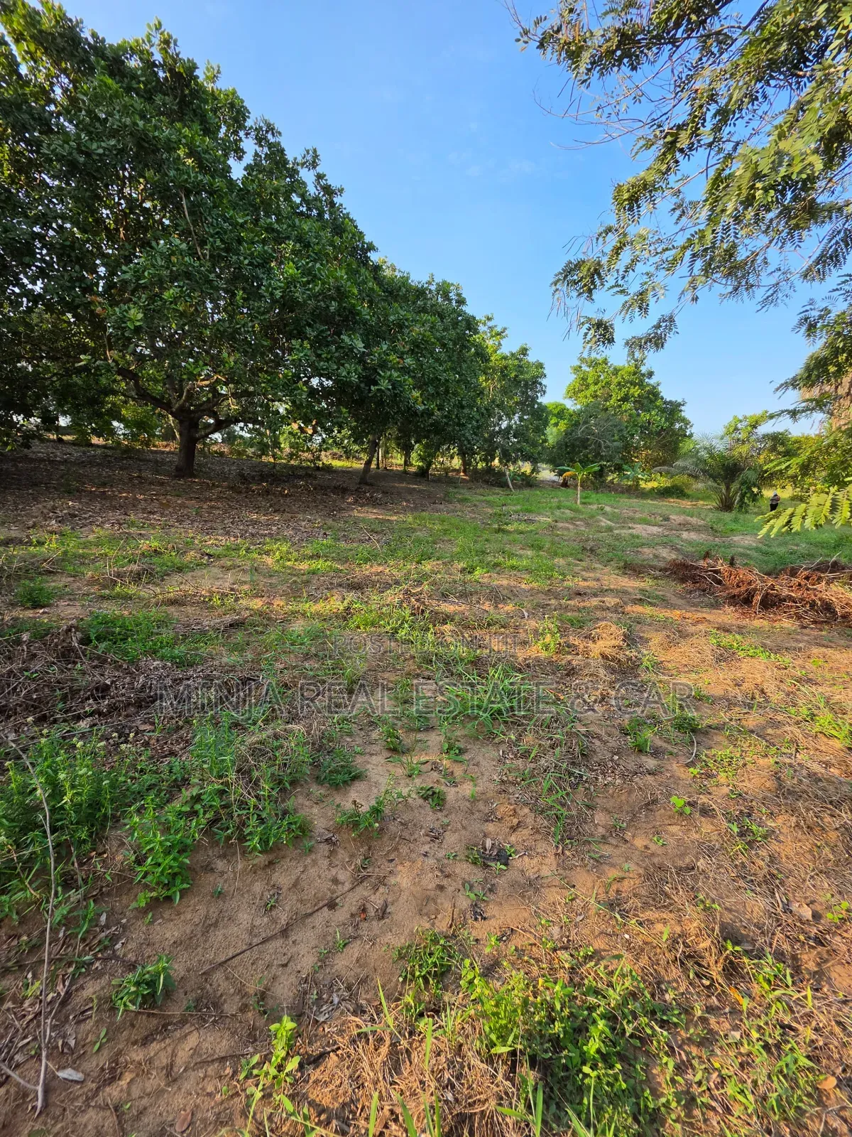 Cheap Plot for Sale Madale Mbopo Mabanda Ya Kuku