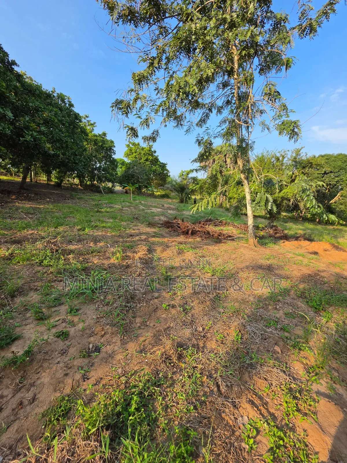 Cheap Plot for Sale Madale Mbopo Mabanda Ya Kuku