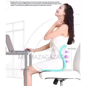 Back Support Cushion, Office Big