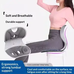 Back Support Cushion, Office Big