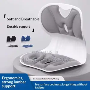 Back Support Cushion, Office Big