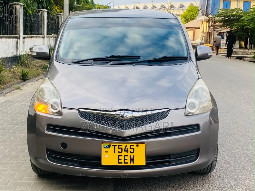 Toyota Ractis 2007 Gray